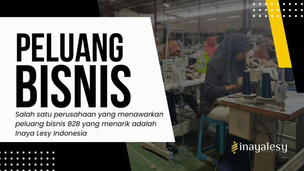 Peluang Bisnis B2B Inayalesy Indonesia (2)